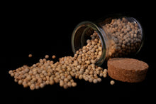 Carica l'immagine nel visualizzatore di Gallery, Ravioli Cacio e Pepe (€/etto) - Pastificio Buono