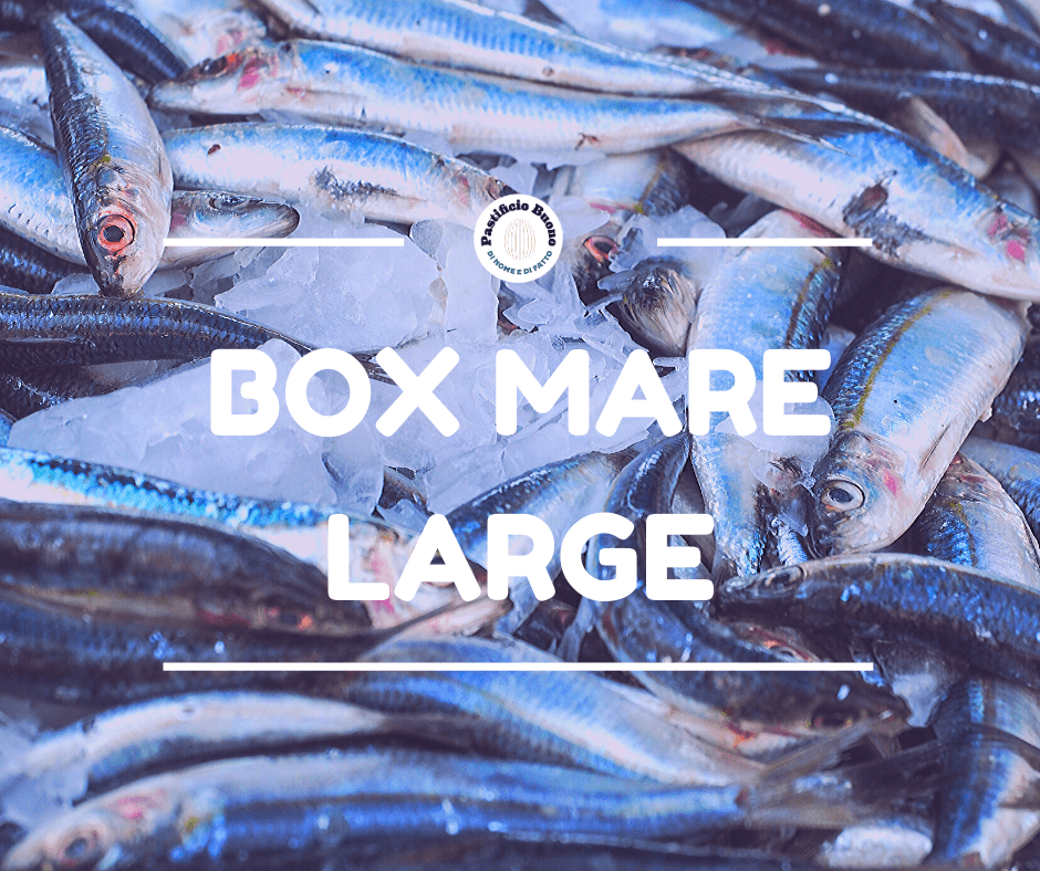 Box Mare Large - Pastificio Buono