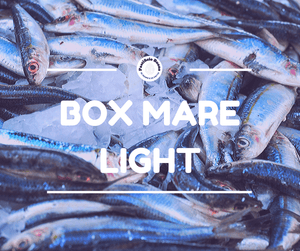 Box Mare Light - Pastificio Buono