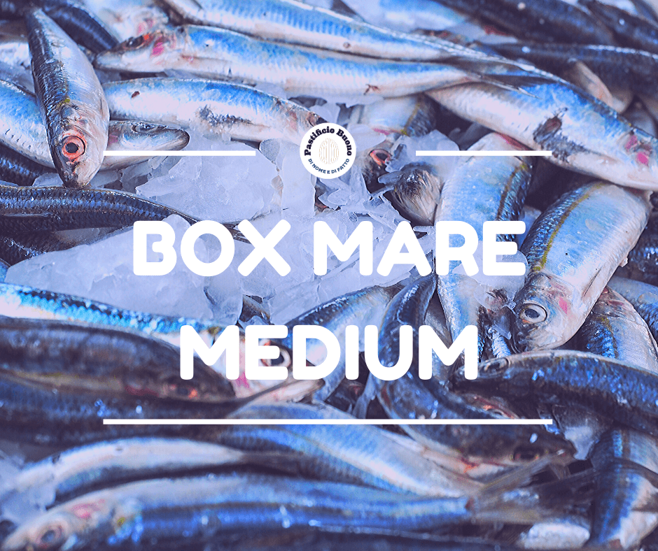 Box Mare Medium - Pastificio Buono