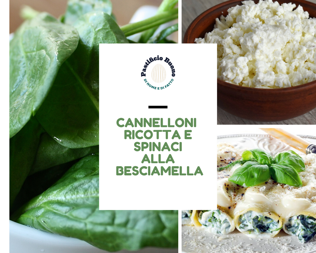 Cannelloni Ricotta e Spinaci conditi (€/pz) - Pastificio Buono