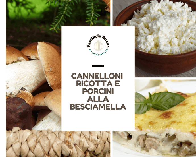 Cannelloni Ricotta e Porcini conditi (€/pz) - Pastificio Buono