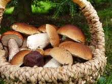 Carica l&#39;immagine nel visualizzatore di Gallery, Gnocchi ai funghi porcini a mano (€/etto) - Pastificio Buono
